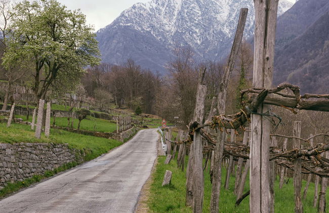 Randonnée à Montecrestese + Dégustation de vins - Photo 5