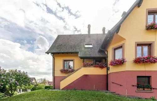 Appartement charmant à Epfig avec vue sur jardin - Foto 1