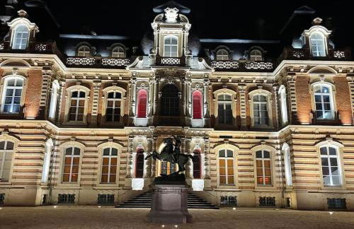 Chez Chacha Rod au cœur de la champagne - Foto 14