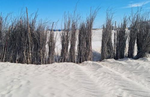 Bea´s Küstenhuus - Foto 32