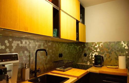 Semi-detached House Directly on the Lake, Stare Czaple - Foto 20