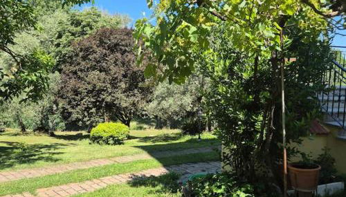 Appartamento Rosa blu - Foto 2, Garden