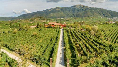 Azienda Agricola Campion - Foto 4