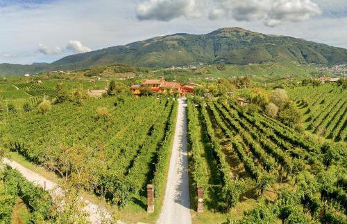 Azienda Agricola Campion - Foto 4