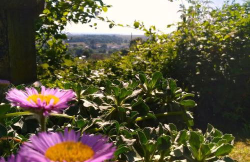 Sea Moss Cabin - Foto 21