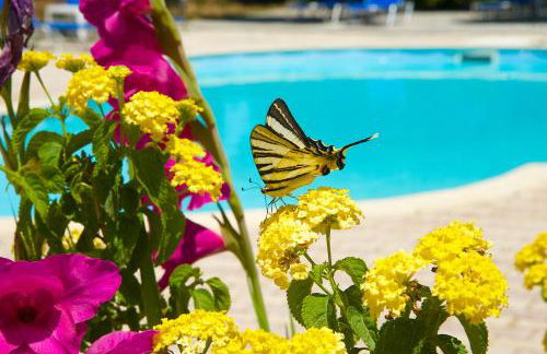 Nikos Studios and Apartments - Photo 45