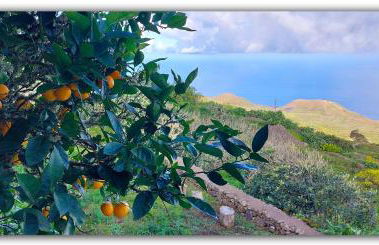 Casa Tío Pedro Martín - Foto 28