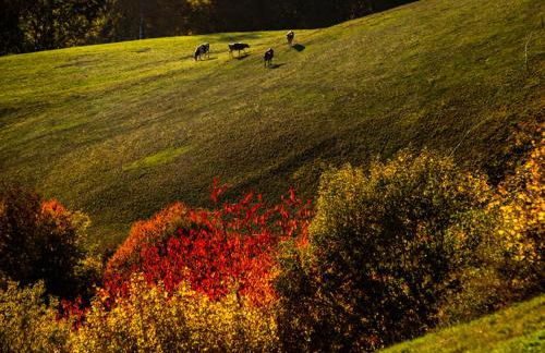 Appartment Kircherhof - Photo 46