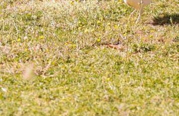 La colina buena - cosy casita for nature lovers - Foto 36