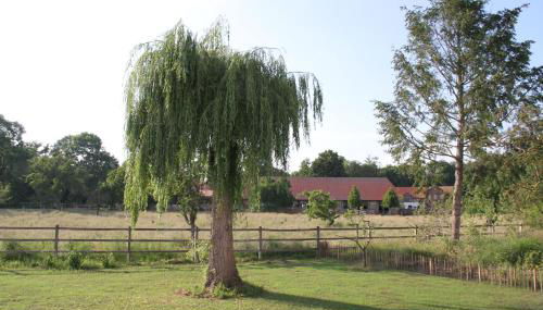 Ferienhaus Am Untergut in der Klingelstraße - Foto 3, Garden view