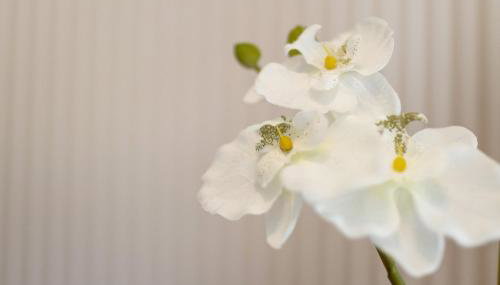 Ferienanlage am Seerand - Photo 5