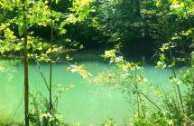 Lil' Log at Hearthstone Cabins and Camping - Pet Friendly - Photo 13