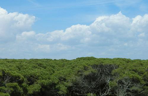 Residence Hotel Margherita - Foto 31