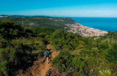 NIDO TRA GLI ULIVI - Foto 16