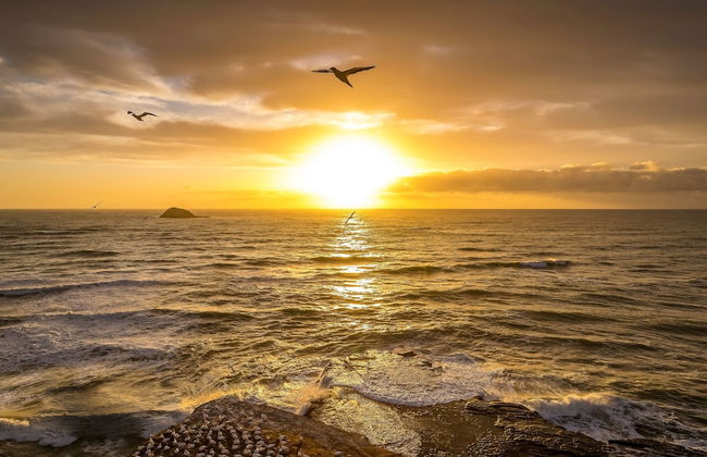 Sunset Capital Of The World - Photo 18