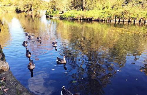 Chez Simon et Loreline Yerres proche Paris Orly Disney - Foto 29