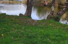 Mrežnica - Zelena oaza II - Foto 32