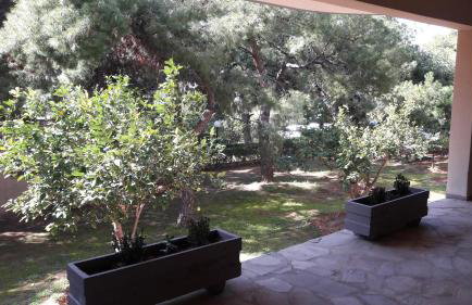 Amazing Apartment - Photo 34