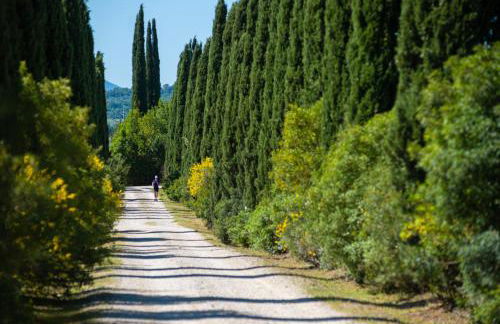 Tenuta Il Cicalino - Foto 45
