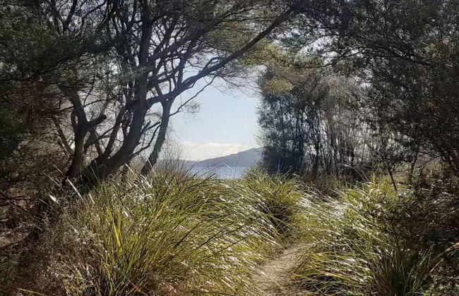 Cosy Cottage Thermal Holiday Park - Foto 38