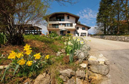 Apartments Strmac - Foto 21