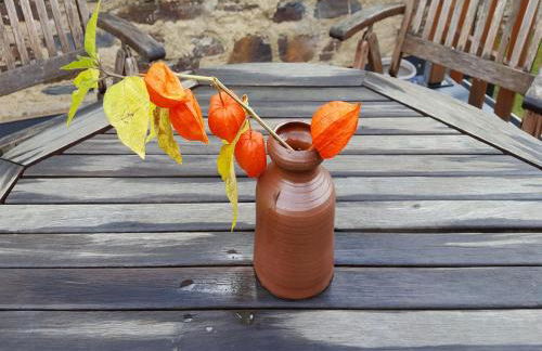 Gemutliche Ferienwohnung in Kaifenheim - Foto 46