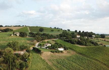 Casali Marchigiani - Ville vacanza private con piscina, giardino e vista panoramica - Foto 34