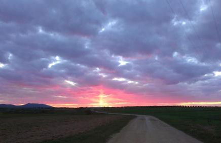 La Huerta el Bao - Foto 14