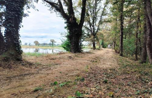 Maison plain-pied à la campagne avec jardin privatif, barbecue, proche Parc de la Brenne et Châteauroux - FR-1-591-599 - Foto 21