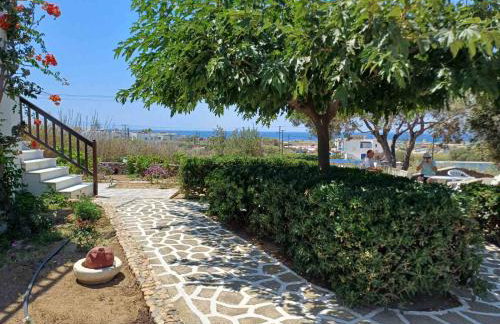 Dina's Diamond - Foto 6