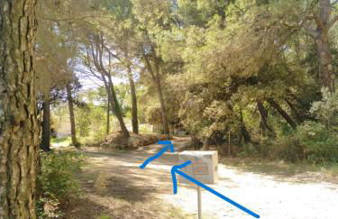 Sous un chêne bicentenaire - Foto 31