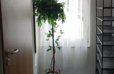 Gemütliche 5Pers Ferienwohnung "Am Steinbach" Nähe Nürnberg Ruhig und gute Anbindung - Foto 7