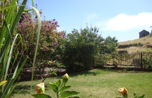 Blooming Botanic Houses - Foto 20