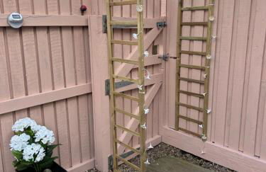 Stepping Stone - Photo 34