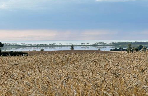 Apartamenty - Dwie Wody - Foto 26