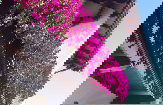 Apart Matthias - Foto 41