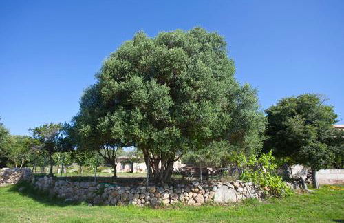 Agroturismo Finca Dalt Murada - Photo 25