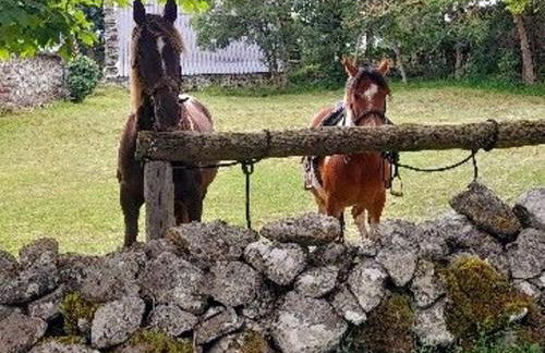 Gîte rénové pour 4 pers. avec accueil équin, Saint-Front - FR-1-582-538 - Foto 31