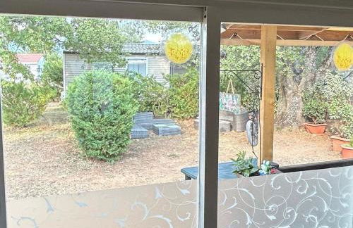 Salamandre - Foto 33