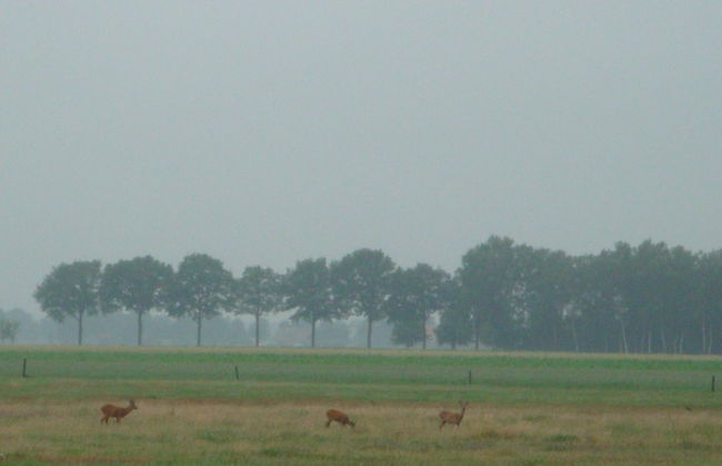 Restful Holiday Home in Lemele - Foto 27