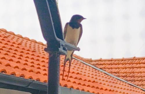 George - Apartment on the Naviglio in Gorgonzola MI - Foto 27