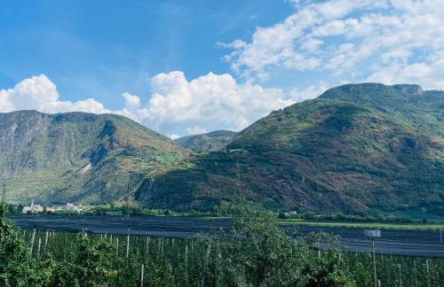 St. Vigilhof - Photo 24