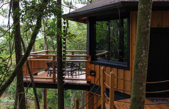 The Grand Forest Jarabacoa - Photo 80