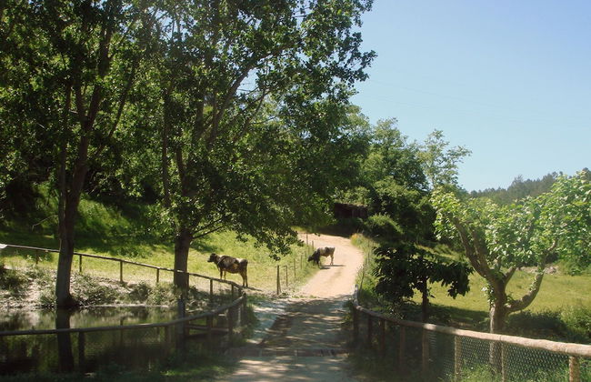 Aparthotel Quinta do Crestelo - Foto 45