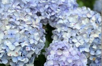 Charme e conforto na Montanha - Condomínio no Morro do Elefante, próximo ao centro - Foto 54