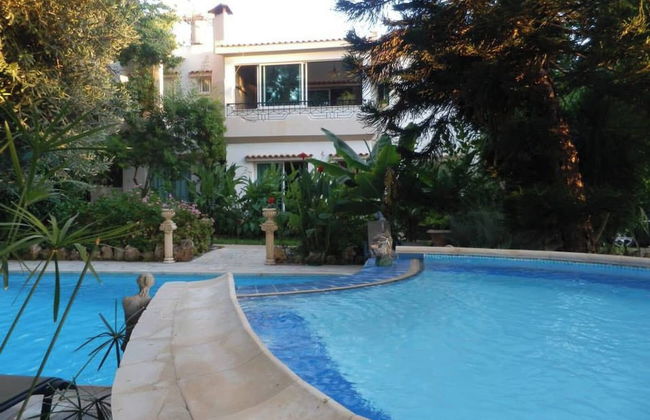 Kritos Apartments With Two Bedrooms - Photo 11