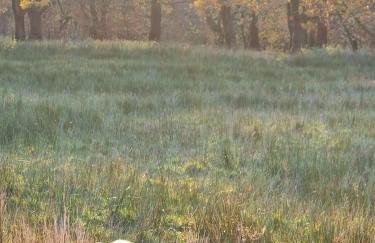 The Old Band Room House No 1 - Foto 16