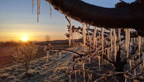 Ferienhof Schlössle - Foto 4