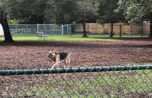 Studio Apt Near DownTown - Foto 15