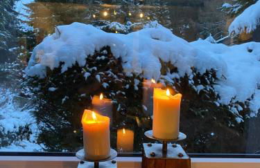 Schönwald Waldchalet am Musenberg - Foto 15